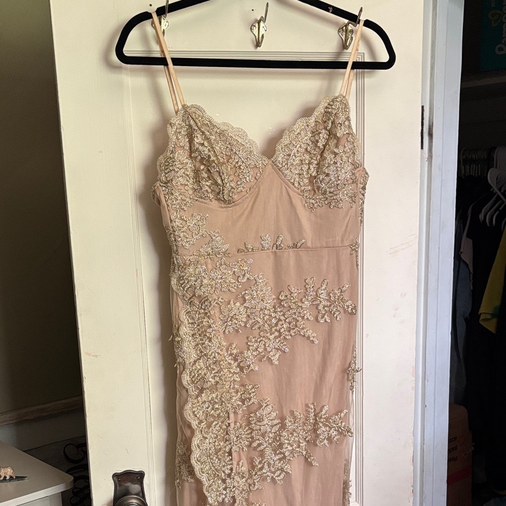 Windsor Blush Lace Backless Dress